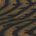 SIERRA sunglasses | Tiger Eye SIERRA sunglasses | Tiger Eye