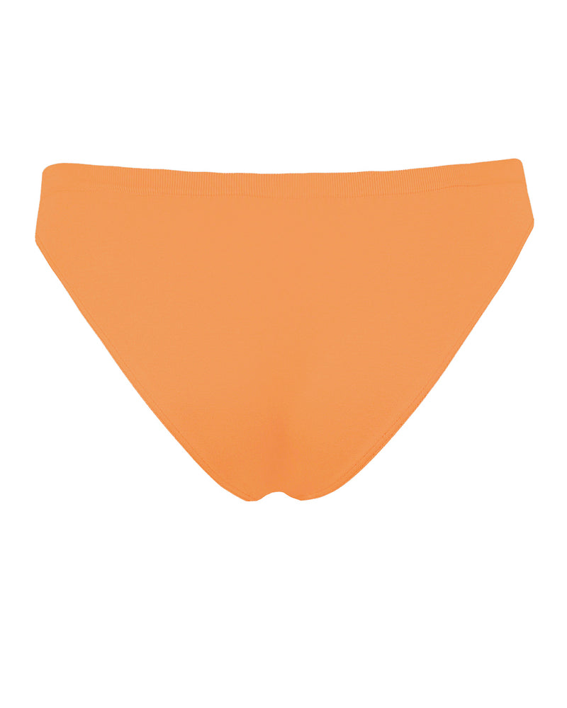 EVOLVE Bikini Bottoms | Apricot | Image 3